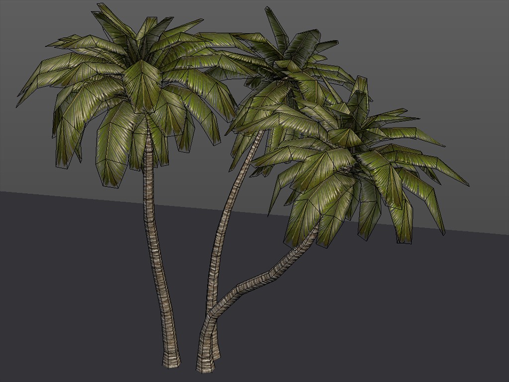 3 Palm Trees (Low Poly + LoD) preview image 3
